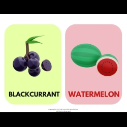 Fruit Flashcards For Grade 3 Worksheet
