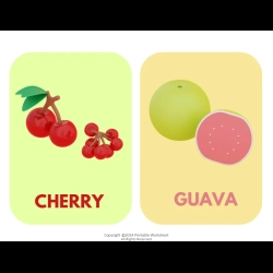 Fruit Flashcards Worksheet