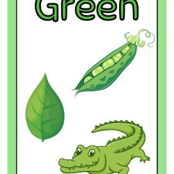 Printable Flashcards Colors For 4th Grade Worksheet