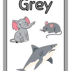 Printable Flashcards Colors For 6th Grade Worksheet