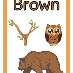 Printable Flashcards Colors For Grade 6 Worksheet