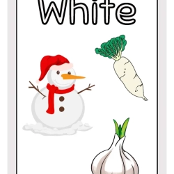 Printable Flashcards Colors For Toddlers Worksheet