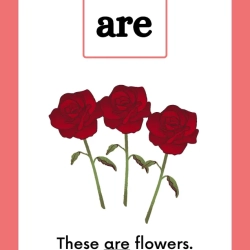 Printable Sight Word Flashcards 6th Grade Worksheets