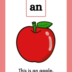 Printable Sight Word Flashcards For Grade 5 Worksheet