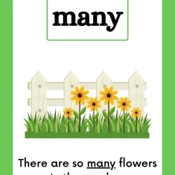 Printable Sight Word Flashcards Grade 3 Free Printables Worksheet