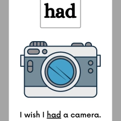Printable Sight Word Flashcards Grade 3 Printables Worksheet