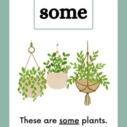 Printable Sight Word Flashcards Grade 6 Free Printables Worksheet