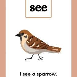 Printable Sight Word Flashcards Toddlers Worksheets