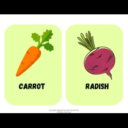 Vegetables Flashcard Download Worksheet