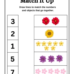 Match It Up Number Worksheet Downloads