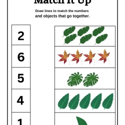Match It Up Number Worksheet For Kindergarten