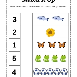 Match It Up Worksheet Printables