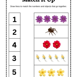 Match It Up Worksheet Worksheets