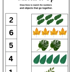 Match The Number Worksheet Free Downloads