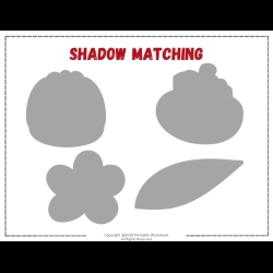 Shadow Matching Worksheet 2nd Grade Worksheets