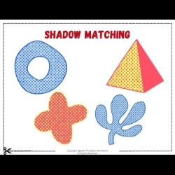 Shadow Matching Worksheet 3rd Grade Worksheets
