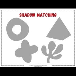Shadow Matching Worksheet 4th Grade Worksheets
