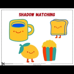 Shadow Matching Worksheet At Home