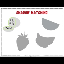 Shadow Matching Worksheet Downloads