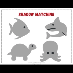 Shadow Matching Worksheet For 1st Grade