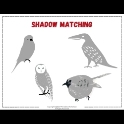 Shadow Matching Worksheet For 2nd Grade