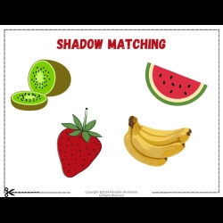 Shadow Matching Worksheet For Free