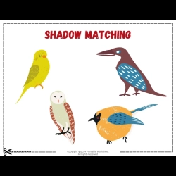 Shadow Matching Worksheet For Grade 1