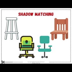 Shadow Matching Worksheet For Grade 2
