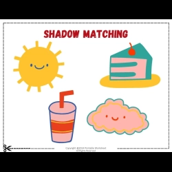 Shadow Matching Worksheet For Grade 6