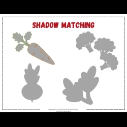 Shadow Matching Worksheet For Kids
