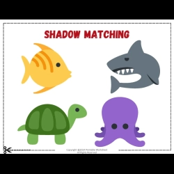 Shadow Matching Worksheet For Kindergarten