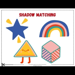 Shadow Matching Worksheet Fun