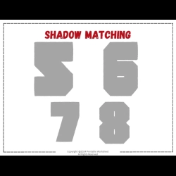 Shadow Matching Worksheet Grade 2 Worksheets