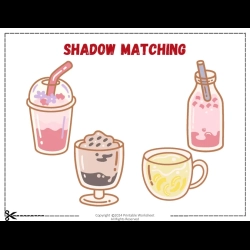 Shadow Matching Worksheet Grade 5 Printables