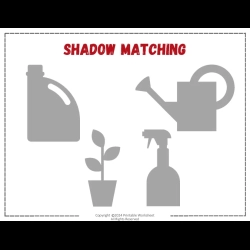 Shadow Matching Worksheet Grade 6 Worksheets