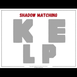 Shadow Matching Worksheet Kids Worksheets