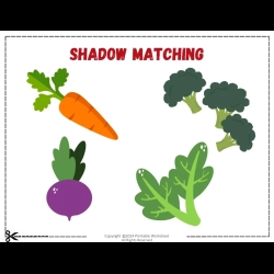 Shadow Matching Worksheet To Prints
