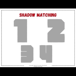 Shadow Matching Worksheet Toddlers Worksheets