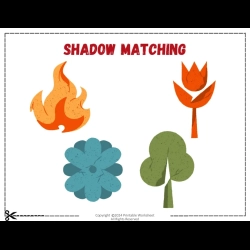 Shadow Matching Worksheet Worksheets Free