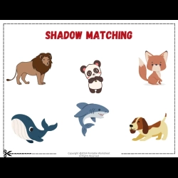 Shadow Matching Worksheet Worksheets