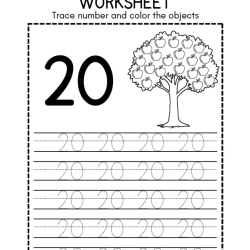 Trace Number And Color Object Grade 5 Worksheet