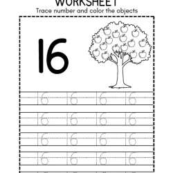 Trace Number And Color Object Pdf Download Worksheet