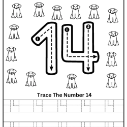 Tracing The Number Worksheet For 3rd Grade
