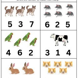 Choose The Correct Number Worksheet Pdf File