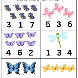 Choose The Correct Number Worksheet To Prints