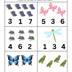 Circle The Number Worksheet Downloads