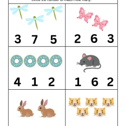 Circle The Number Worksheet Printables