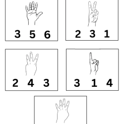 Count And Choose Correct Number For Grade 1 Worksheet