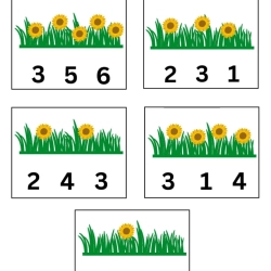 Count And Choose Correct Number For Grade 3 Worksheet
