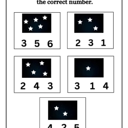 Count And Choose The Correct Number Worksheet For 3rd Grade